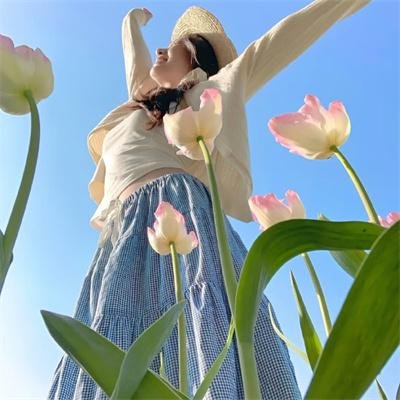 克里斯托弗系列