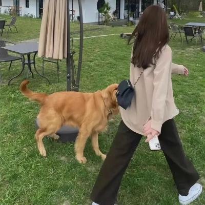 明明不是我